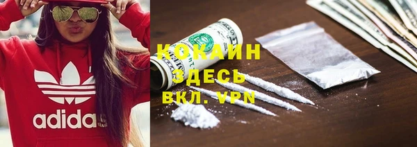 соль ск Белокуриха