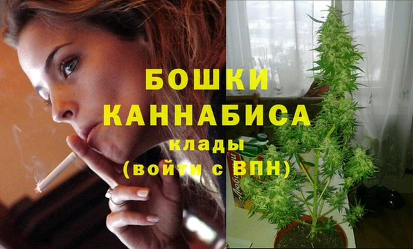 молекула духа Беломорск