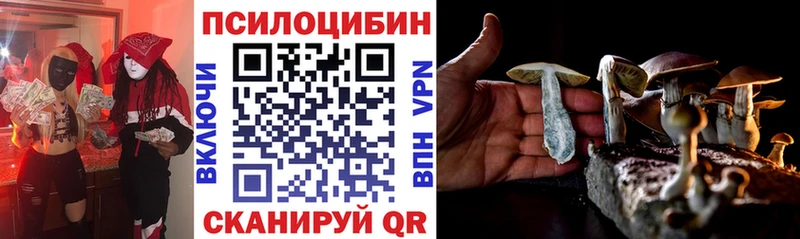 Галлюциногенные грибы MAGIC MUSHROOMS  мега как зайти  Богородицк  где найти  
